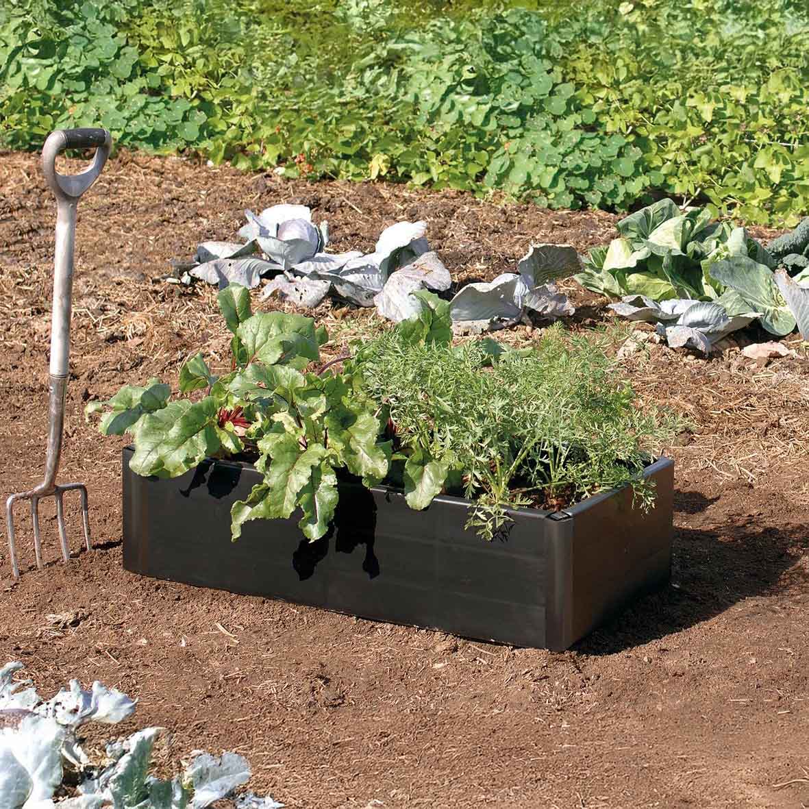 Garland Mini Grow Raised Bed - W98cm x D51cm