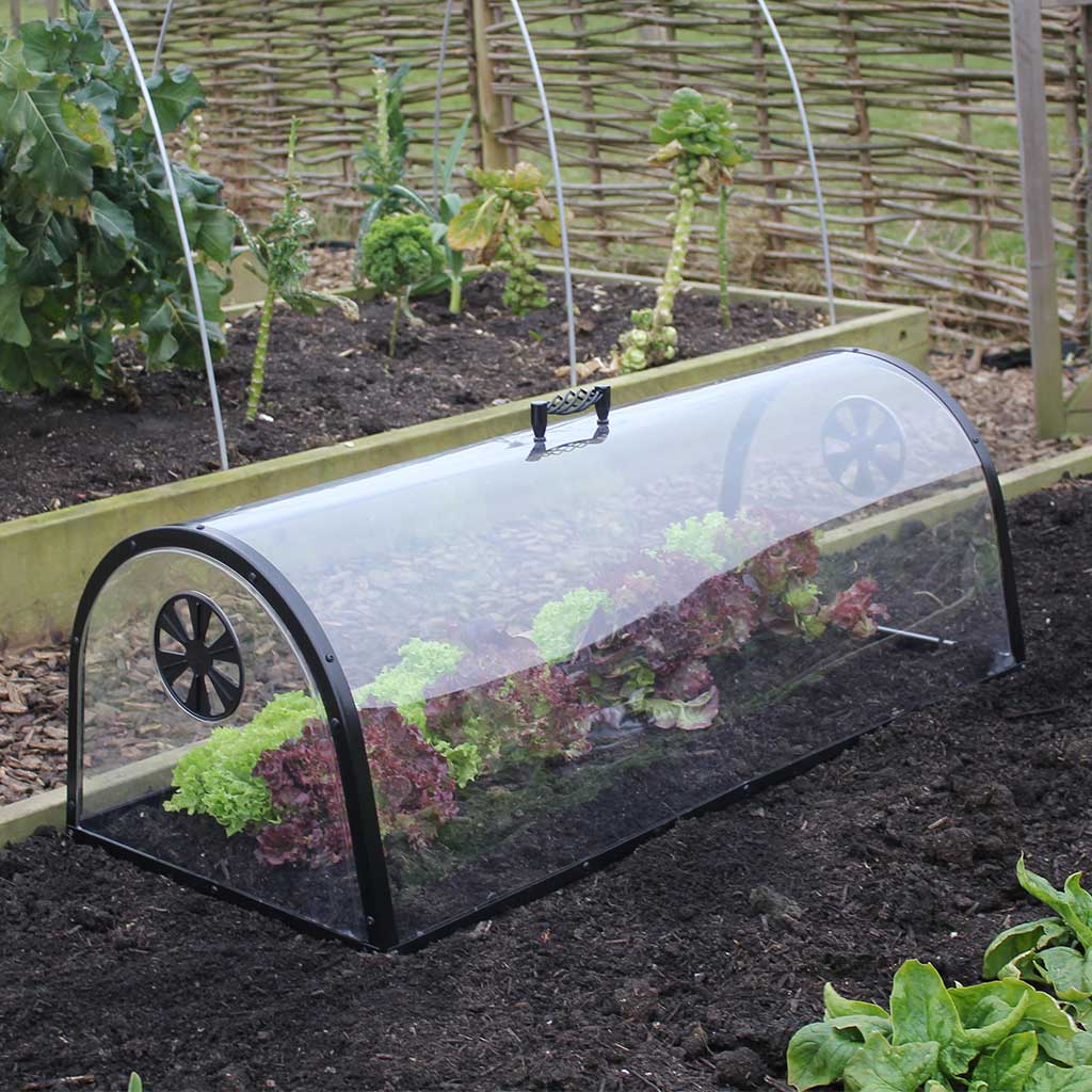 Haxnicks Kitchen Garden Cloche - 100cm