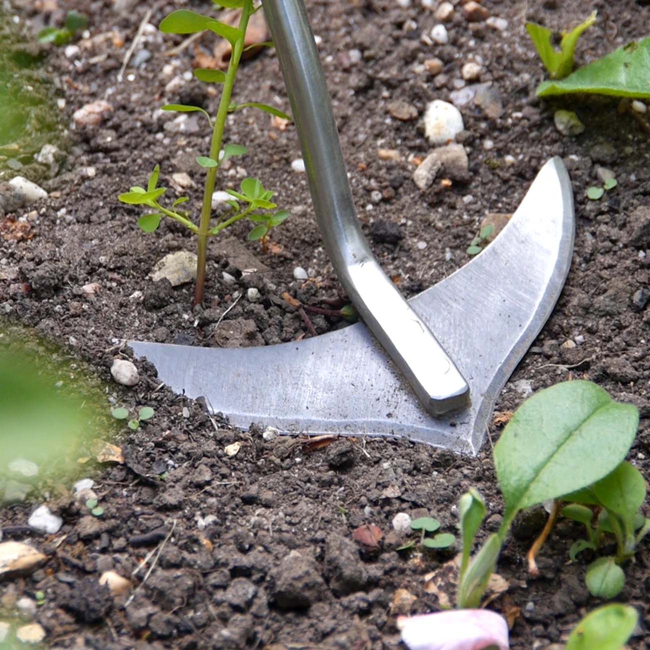 Burgon & Ball Weed Slice