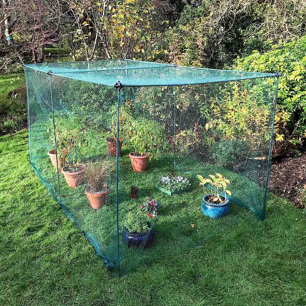 GardenSkill No Frills Crop Cage Kit - 1.2m x 1.2m x 1m with Bird Net 20mm
