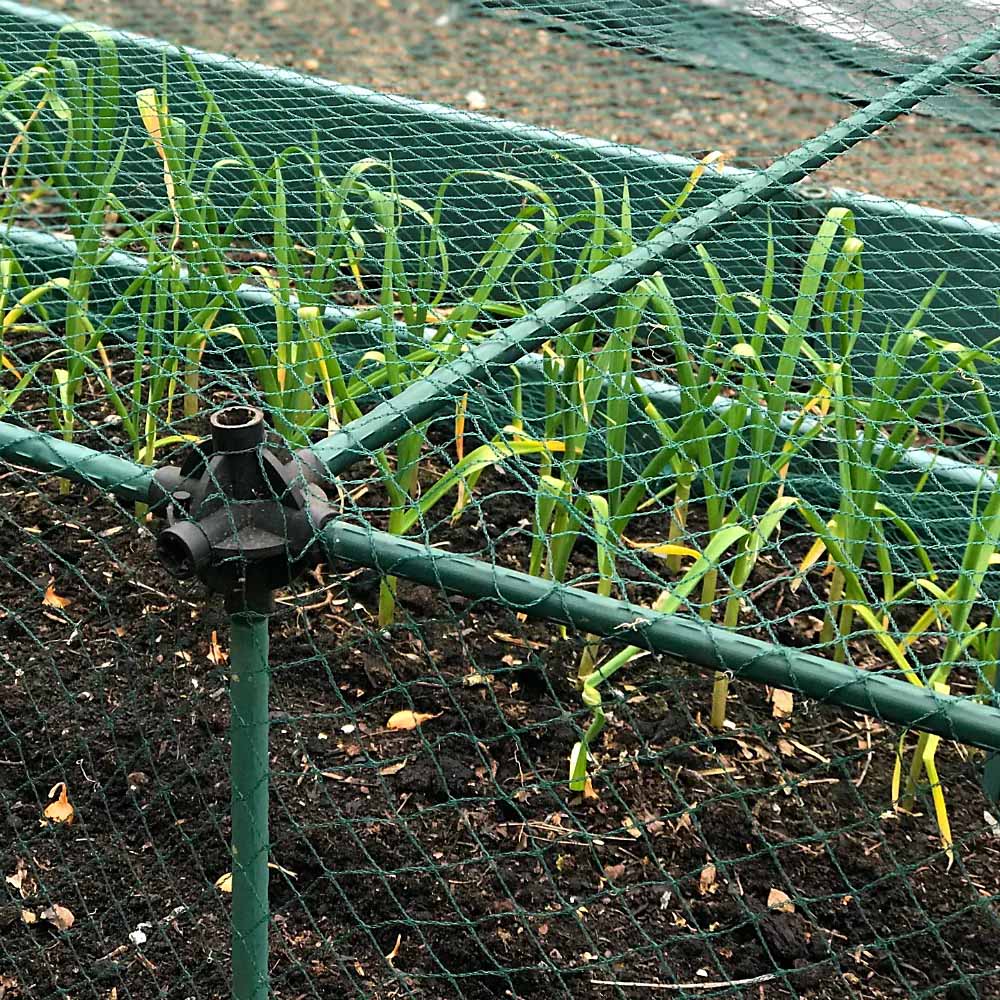 GardenSkill No Frills Crop Cage Kit - 1.2m x 1.2m x 1m with Bird Net 20mm