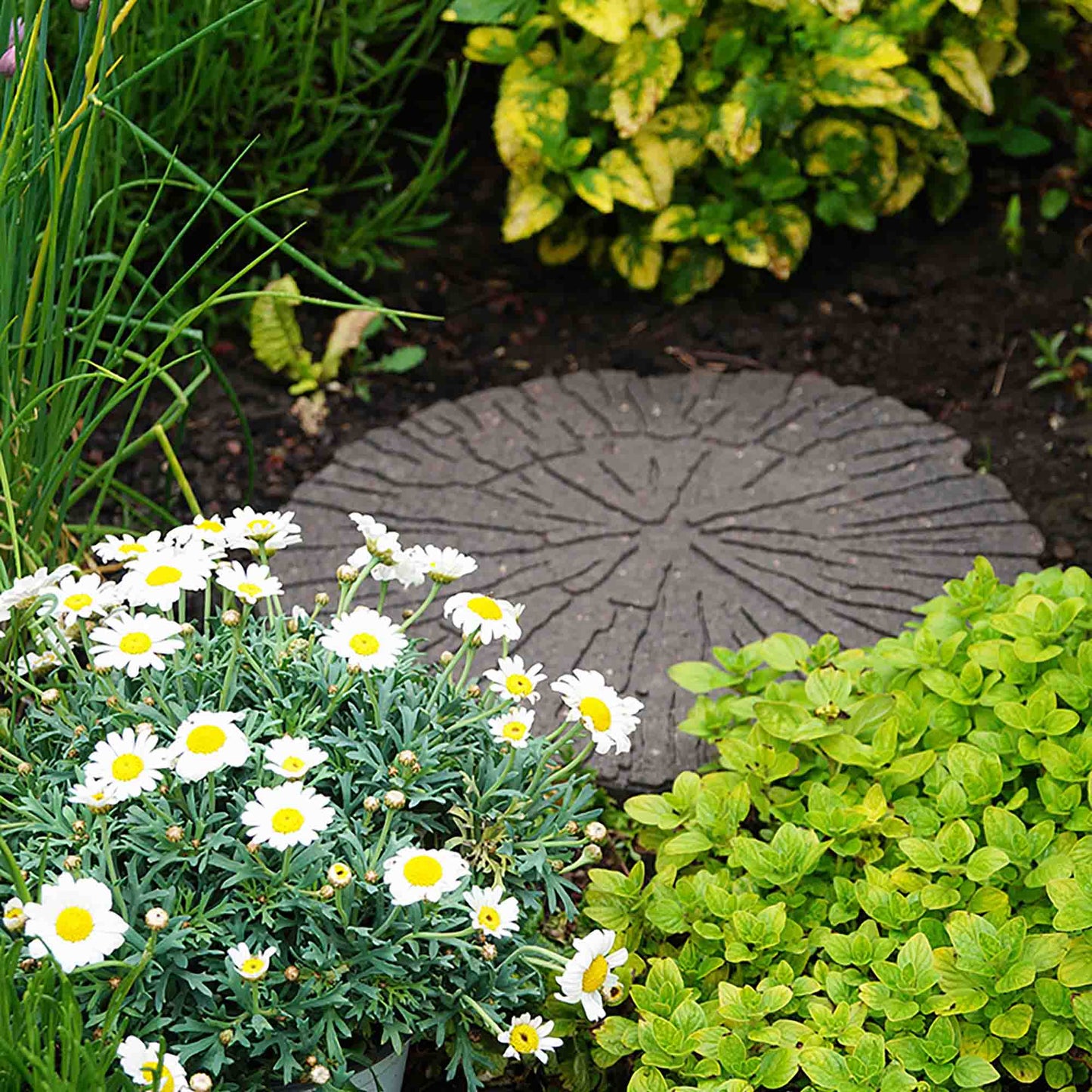 Greenfingers Recycled Rubber Cracked Log Stepping Stone