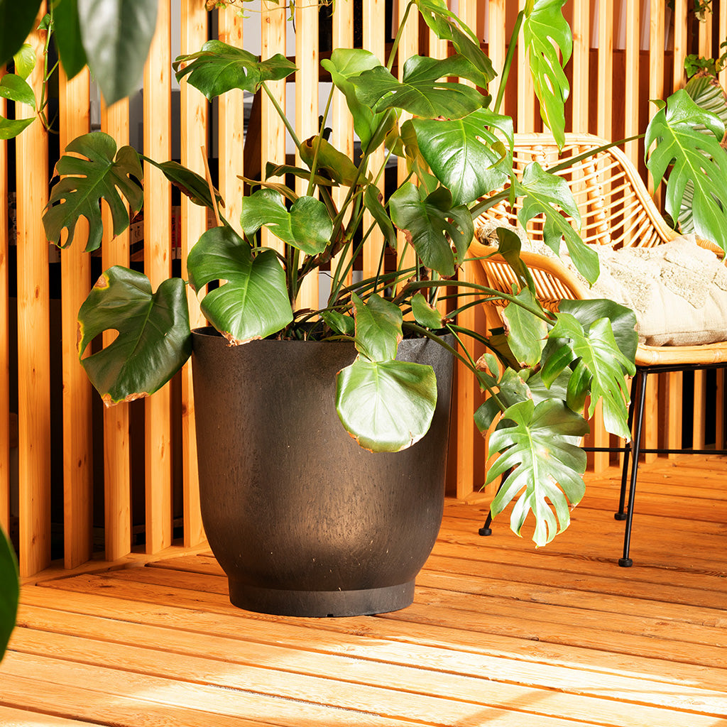Tierra Verde Flamenco Planter - Slate