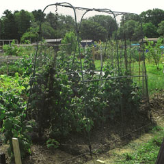 Gardman Walk-in Crop Cage