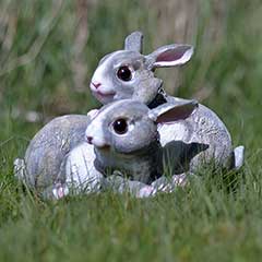 Greenfingers Pair of Rabbits Decoration