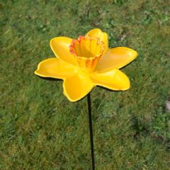 Marie Curie Cast Iron Daffodil Wild Bird Feeder Dish - 72cm Height