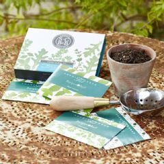 Burgon and Ball Sophie Conran Herb Garden Garden Seed Set