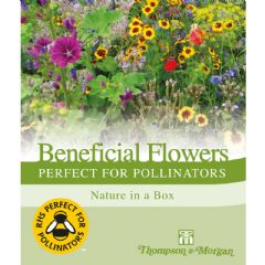 Scatter Gardens Flowers Perfect for Pollinators Mix - 15g