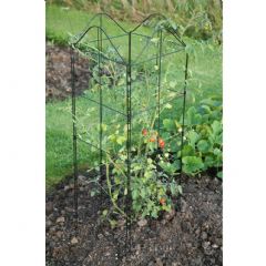 Haxnicks Fold A Frame Plant Support - 110cm Height