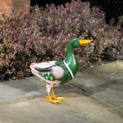 Duck Garden Ornament - 56.5cm Width