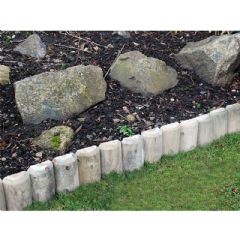 Silver Birch Log Garden Edging - 1m