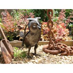 Apples to Pears Owl Watering Can