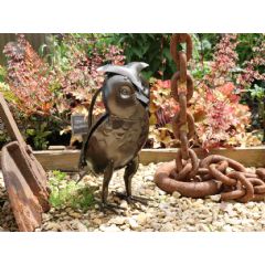 Apples to Pears Owl Watering Can