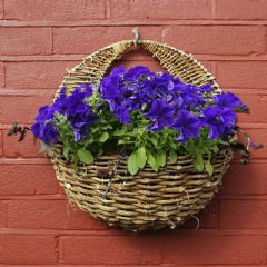 Apollo Rattan Wall Basket 16in