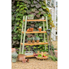 Norfolk Verdi FSC Eucalyptus Plant Shelf