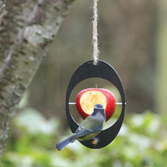 Eco Bird Feeder - Apple Feeder