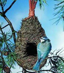 Tall Roosting Nest Pocket