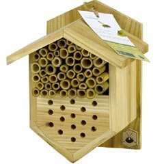 Chapelwood Bee and Ladybird FSC Nesting Box