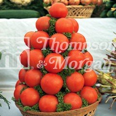 Fruit Seeds - Tomato Alicante