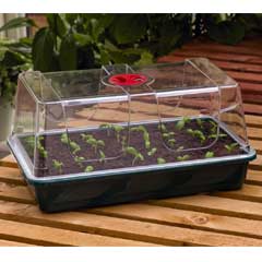 Large Propagator