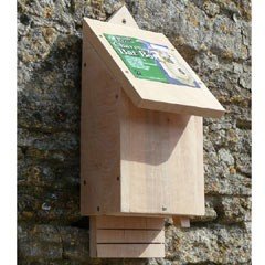 Chavenage FSC Bat Box