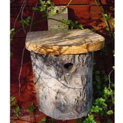 FSC Silver Birch Blue Tit Nest Box