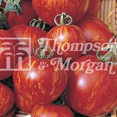 Fruit Seeds for Kids - Tomato Tigerella (Mr Stripey)