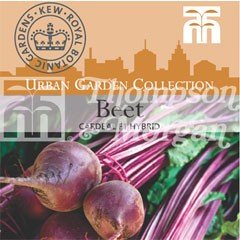 Urban Seed Collection - Beet Cardeal F1