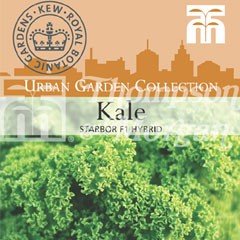 Urban Seed Collection - Kale Starbor