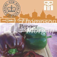 Urban Seed Collection - Pepper Sweet Ingrid