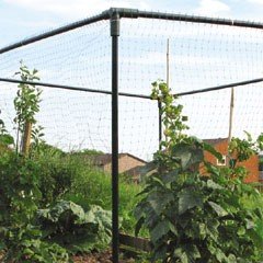 Botanico Crop Cage 1m x 1m x 1m