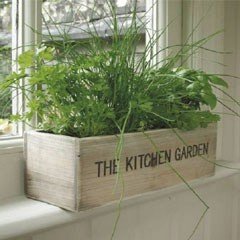 Unwins Kitchen Garden Herb Kit