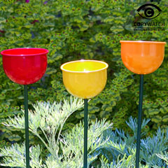 Colour Cup Bird Feeder