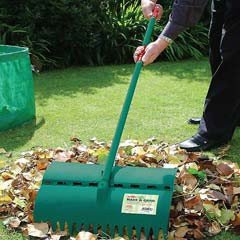 Bosmere Rake and Grab