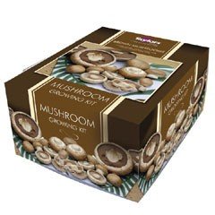 Brown Button Mushroom Kit