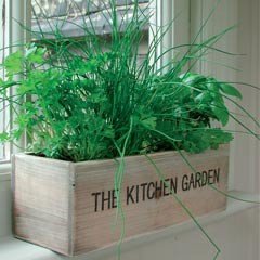 Unwins Salad Kitchen Garden Set