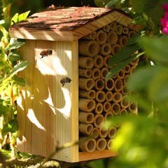 Chapelwood Rustic FSC Bee Box