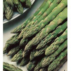 Asparagus Gijnlim - 2 Crowns