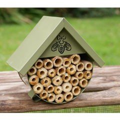 Bee and Insect House - Green