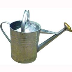 Metal Watering Can 9 Litres