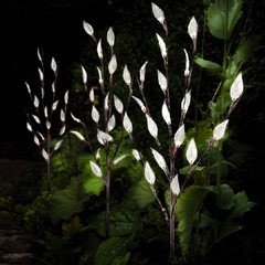 Gardman 3 Solar LED Branch Lights