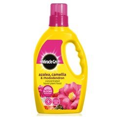 Miracle-Gro AzaleaCamellia & Rhododendron Liquid Plant Food 1 Litre