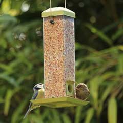 Chapelwood Rocket Feeder - Seed