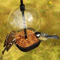 Chapelwood Mealworm & Suet Pellet Bird Feeder