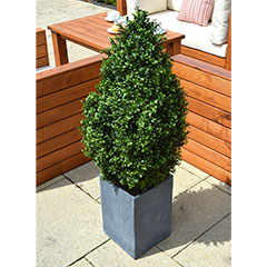 Artificial Outdoor Buxus Spiral Tree 120cm