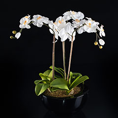 Artificial Contemporary White Orchid Plant in Black Planter