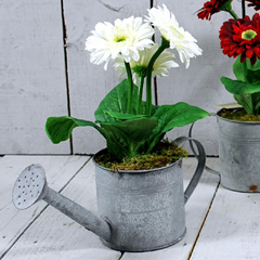 Artificial White Potted Gerbera in Watering Can