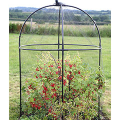 Haxnicks Steel Round Fruit Cage - 150cm