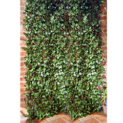 Laurel Leaf Trellis - 60 x 180cm