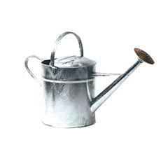 Ambassador Galvanised Watering Can